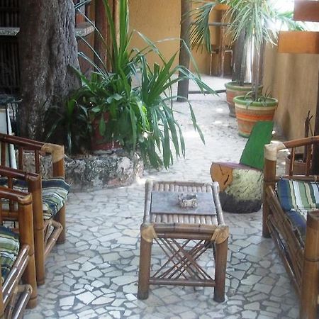 Mayan Hostel แคนคูน ภายนอก รูปภาพ