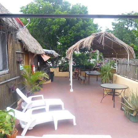 Mayan Hostel แคนคูน ภายนอก รูปภาพ