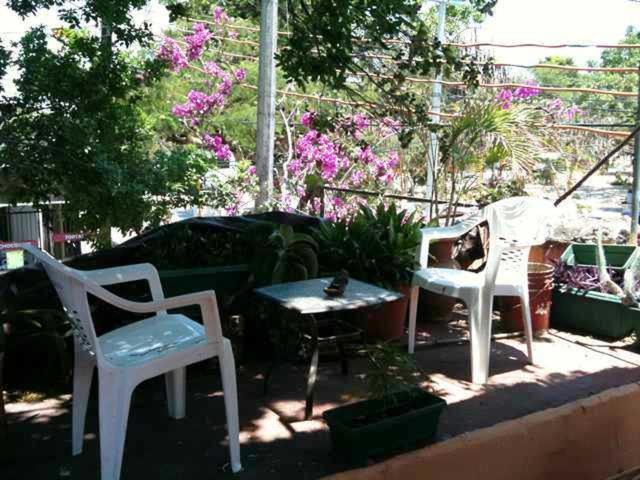 Mayan Hostel แคนคูน ภายนอก รูปภาพ