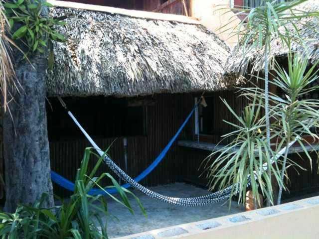 Mayan Hostel แคนคูน ภายนอก รูปภาพ