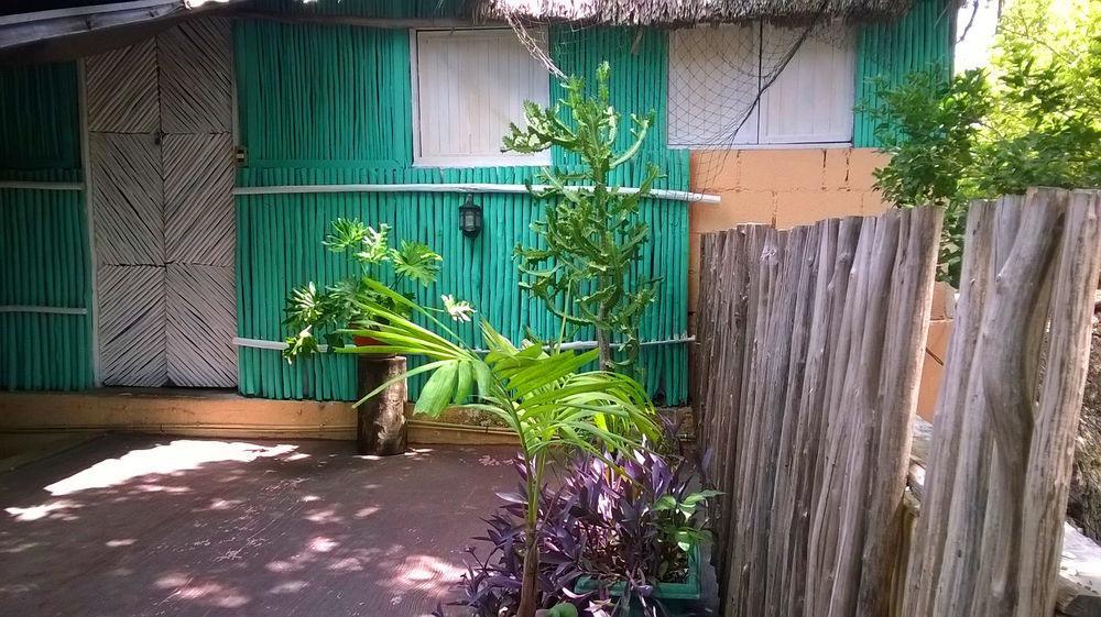 Mayan Hostel แคนคูน ภายนอก รูปภาพ