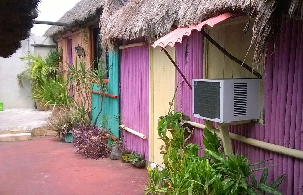 Mayan Hostel แคนคูน ภายนอก รูปภาพ