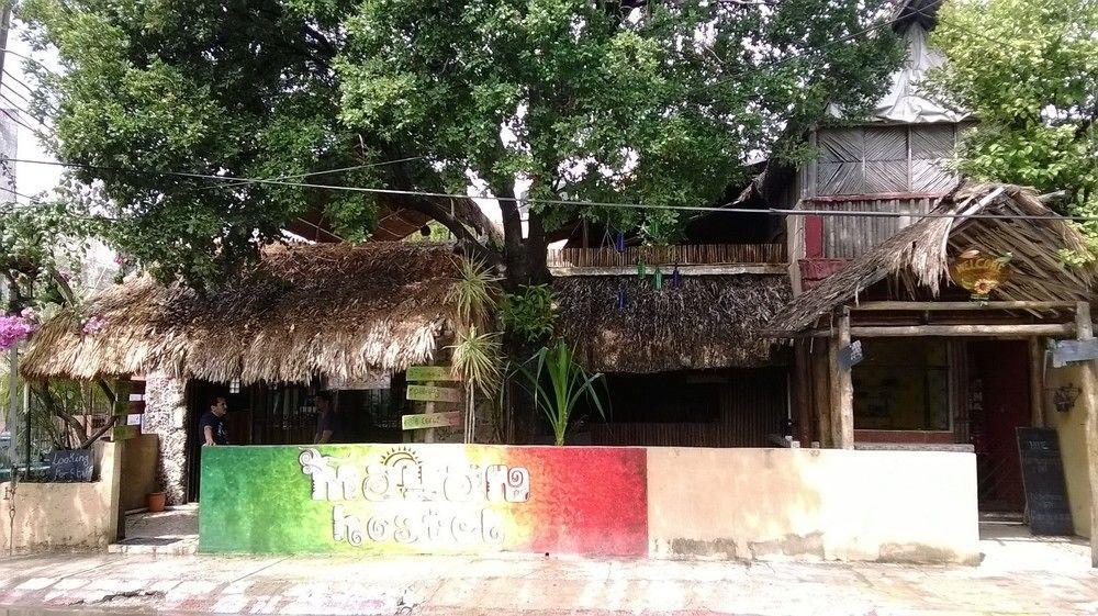 Mayan Hostel แคนคูน ภายนอก รูปภาพ