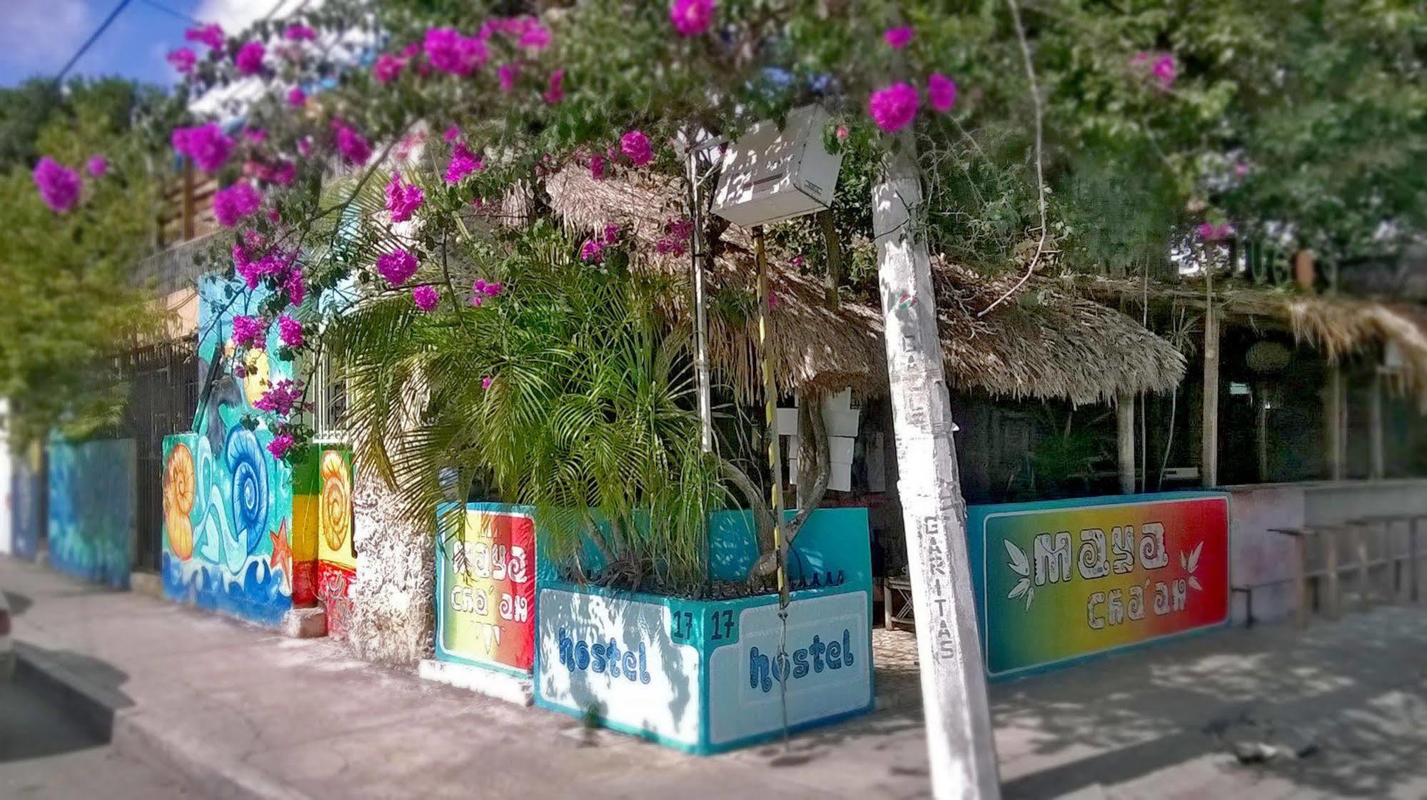 Mayan Hostel แคนคูน ภายนอก รูปภาพ
